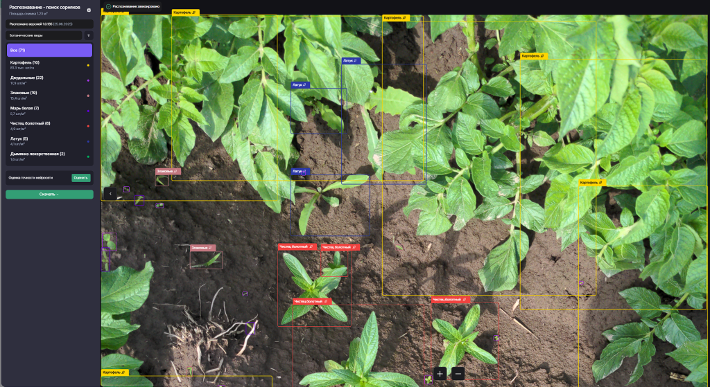 Результаты распознавания