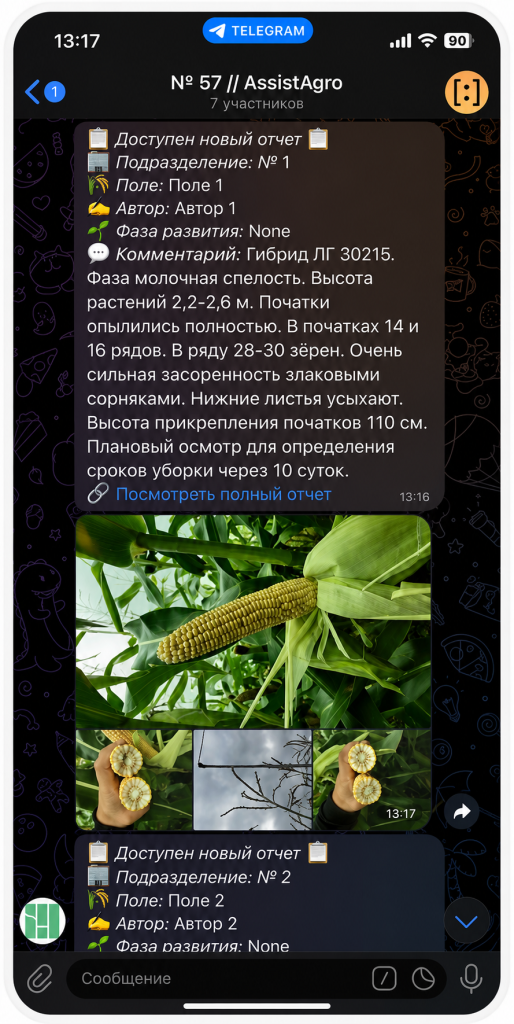 чат с ии агент ассистагро.png
